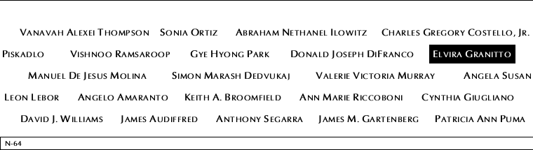 Panel N-64, North Pool, National September 11 Memorial