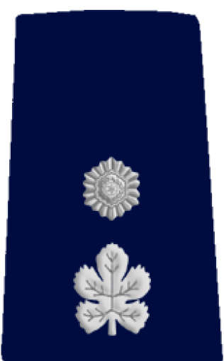 Sgan Nitzav