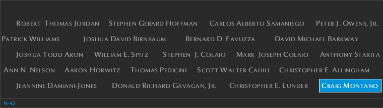 Panel N-42, North Pool, National September 11 Memorial
