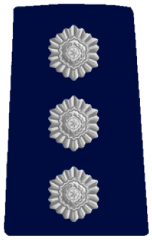 Pakad