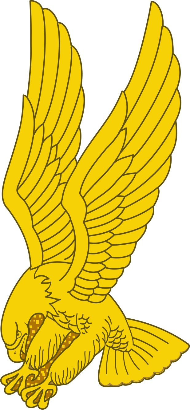 1st Aviation Brigade — Distinctive unit insignia