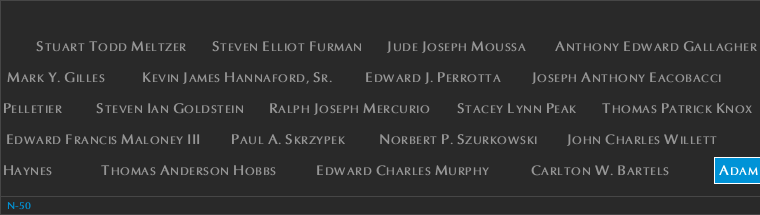Panel N-50, North Pool, National September 11 Memorial