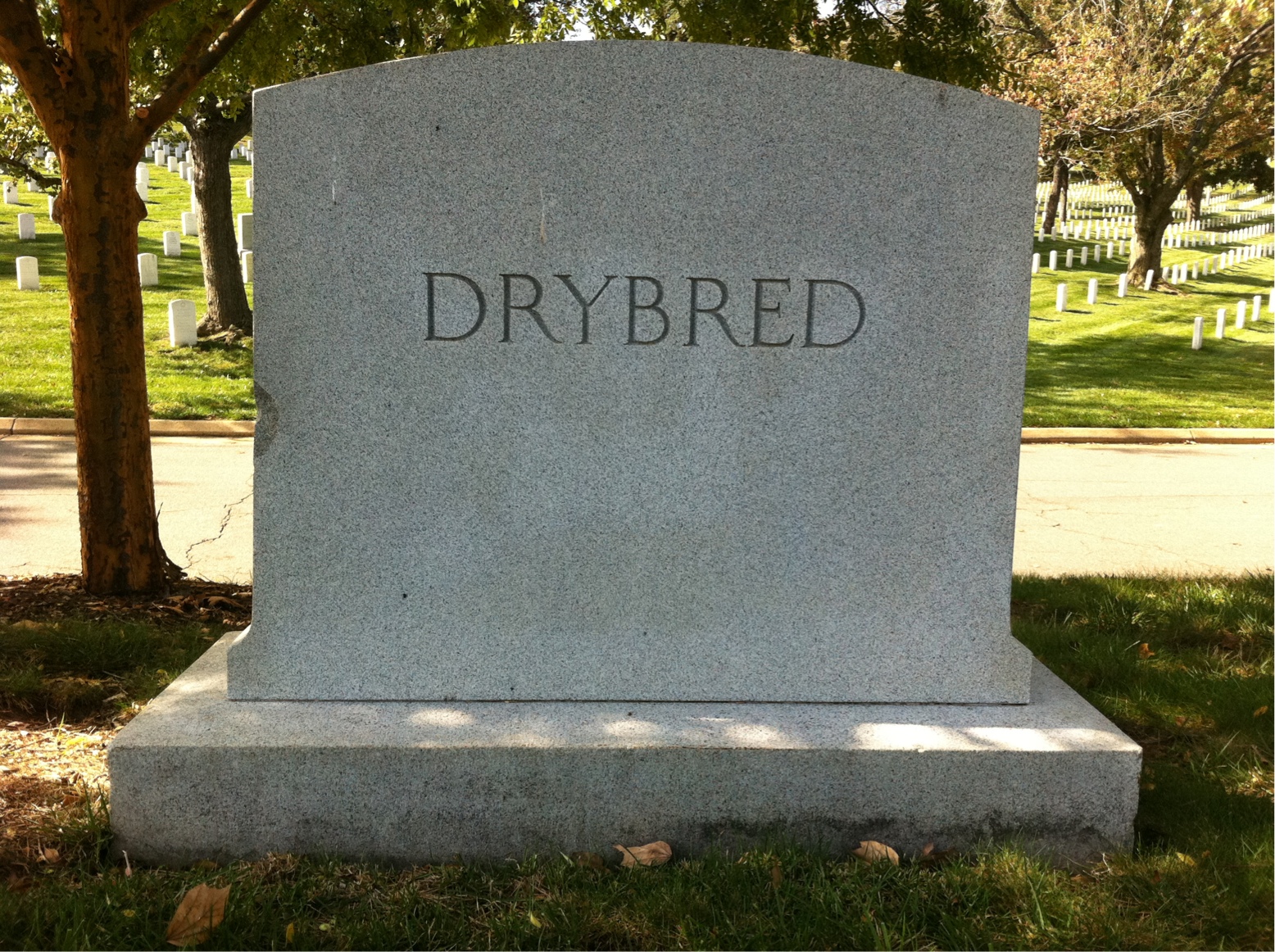 Headstone of Marcia R Drybred