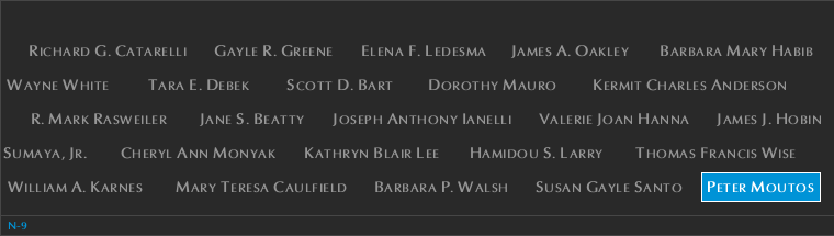 Panel N-9, North Pool, National September 11 Memorial