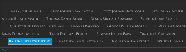 Panel N-54, North Pool, National September 11 Memorial