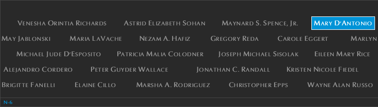 Panel N-6, North Pool, National September 11 Memorial