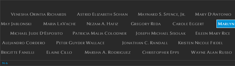 Panel N-6, North Pool, National September 11 Memorial