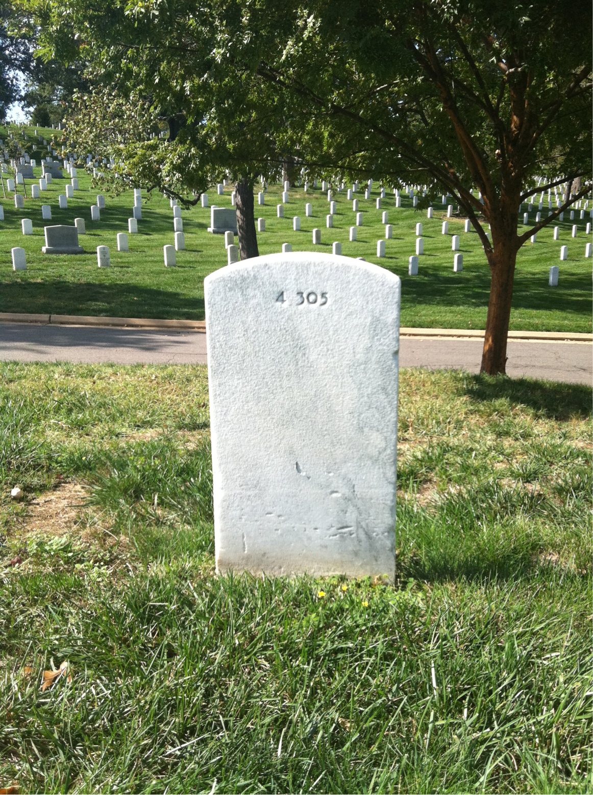 Headstone shared by 2 interments, including Anna C Smyth