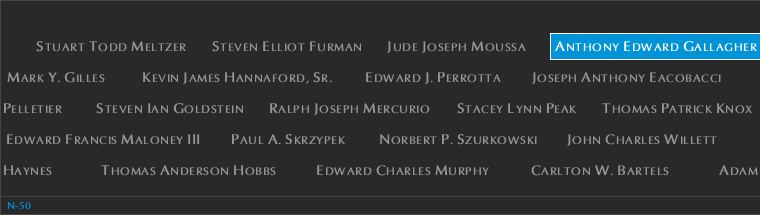 Panel N-50, North Pool, National September 11 Memorial
