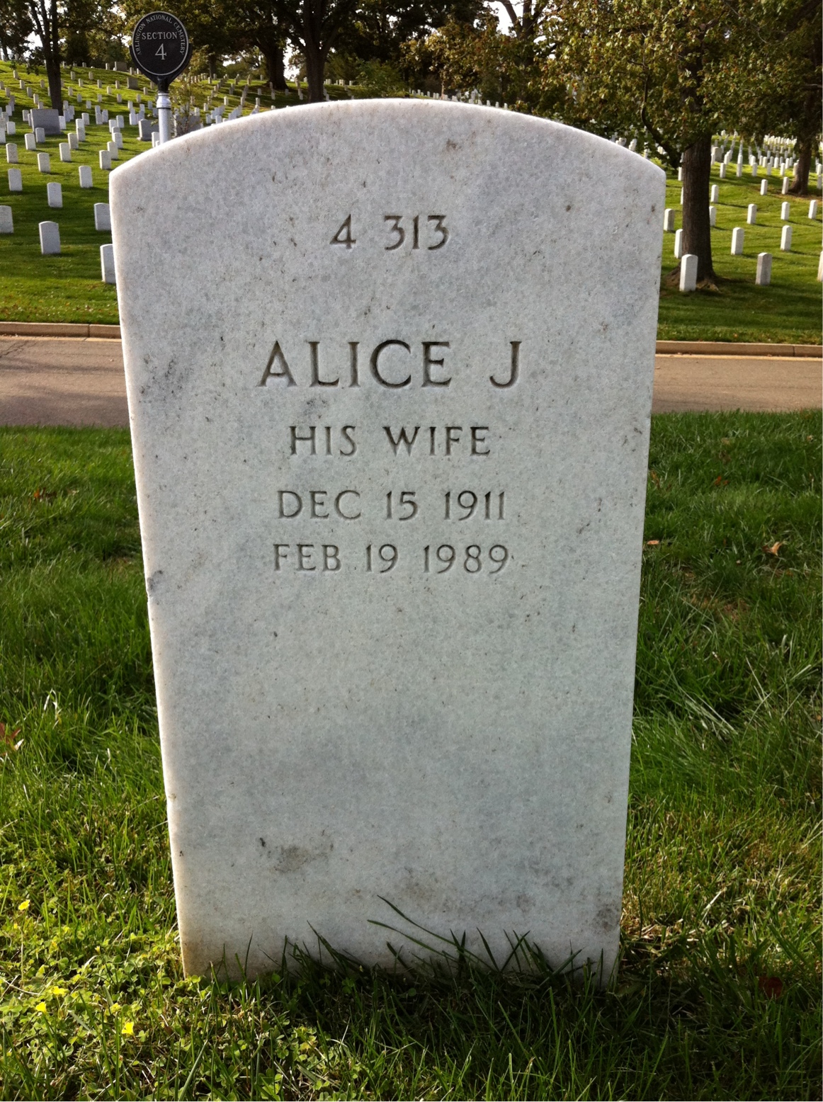 Headstone shared by 2 interments, including John James Lively