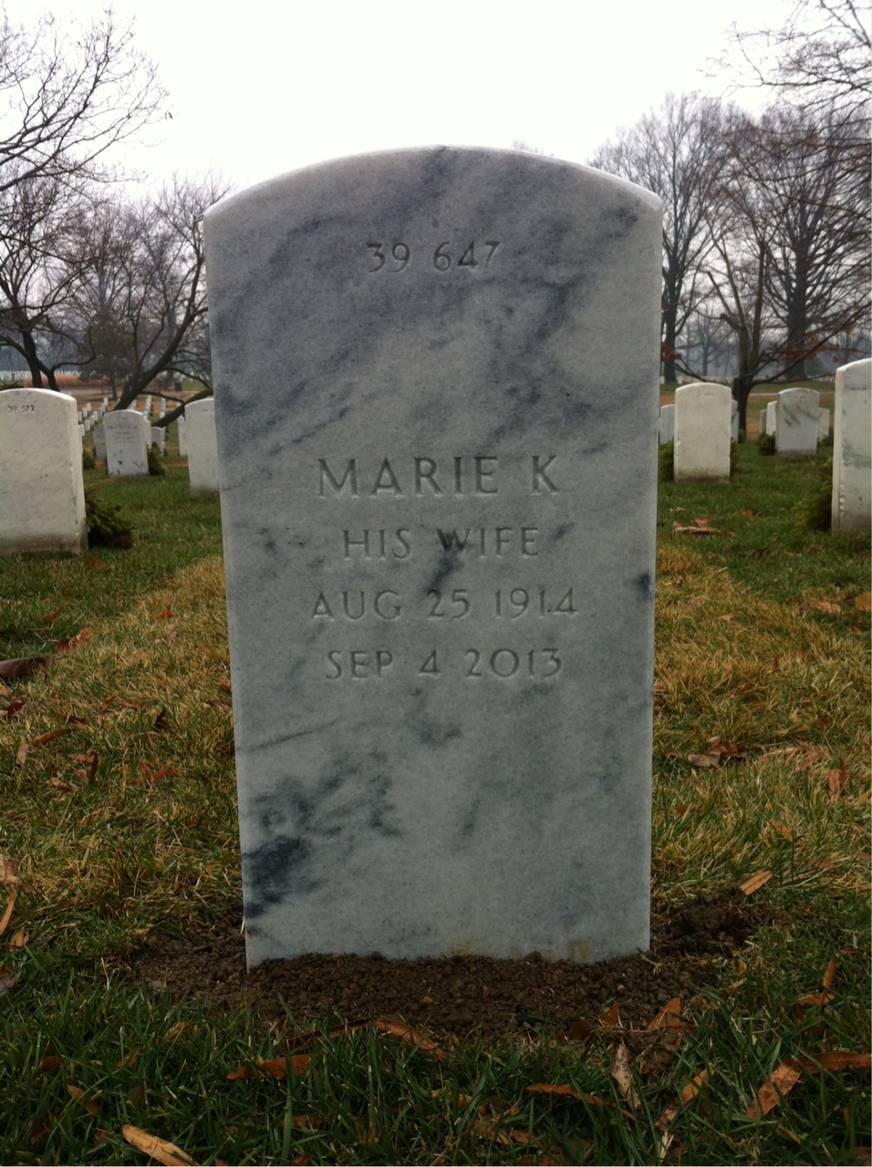 Headstone shared by 2 interments, including Holmes M Johnson Jr.