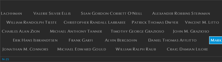 Panel N-25, North Pool, National September 11 Memorial