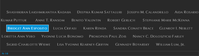 Panel N-18, North Pool, National September 11 Memorial