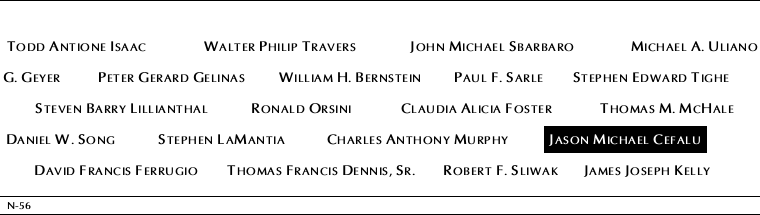 Panel N-56, North Pool, National September 11 Memorial