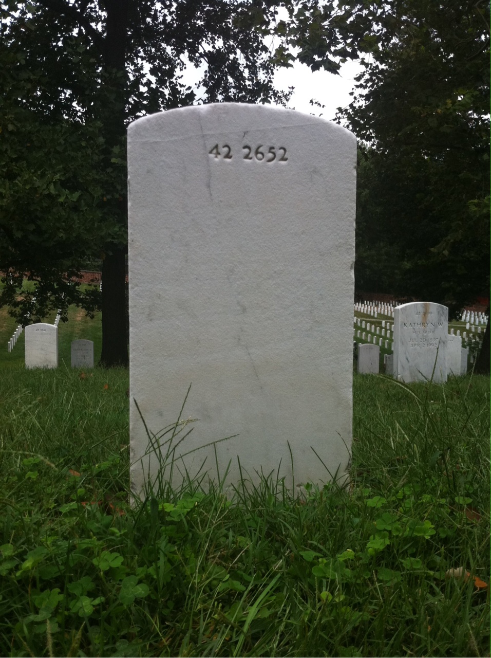 Headstone of David Rosen