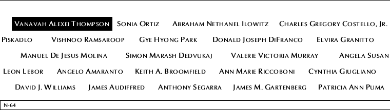 Panel N-64, North Pool, National September 11 Memorial