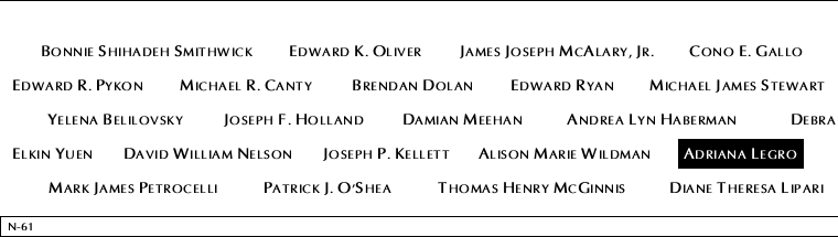 Panel N-61, North Pool, National September 11 Memorial