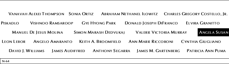 Panel N-64, North Pool, National September 11 Memorial
