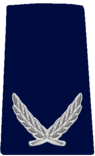 Tat Nitzav