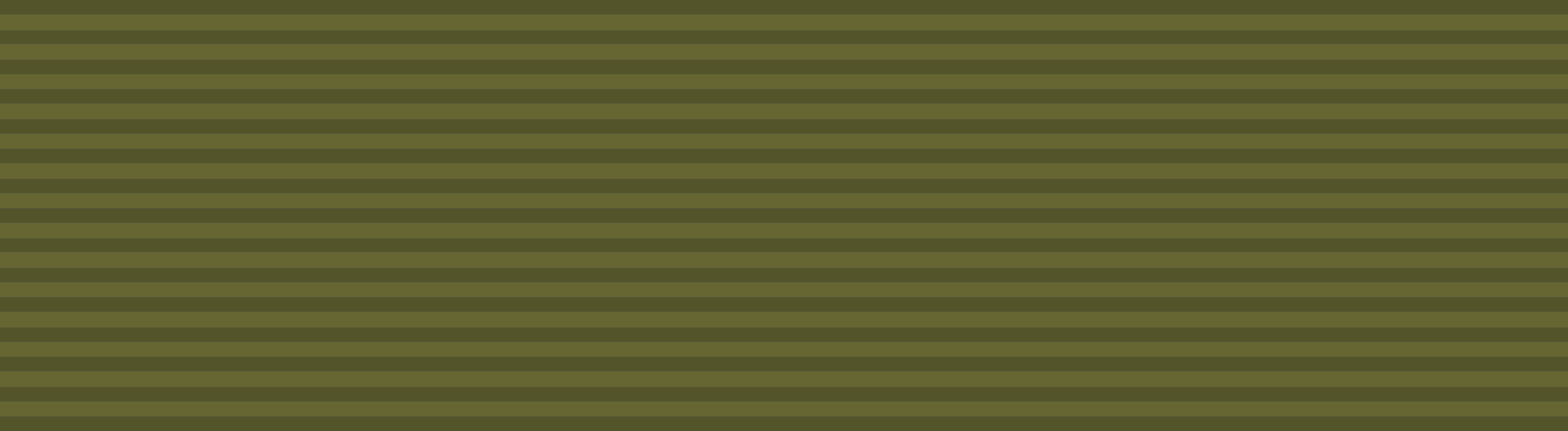 Brigade Commander Citation (Israel)