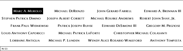 Panel N-53, North Pool, National September 11 Memorial