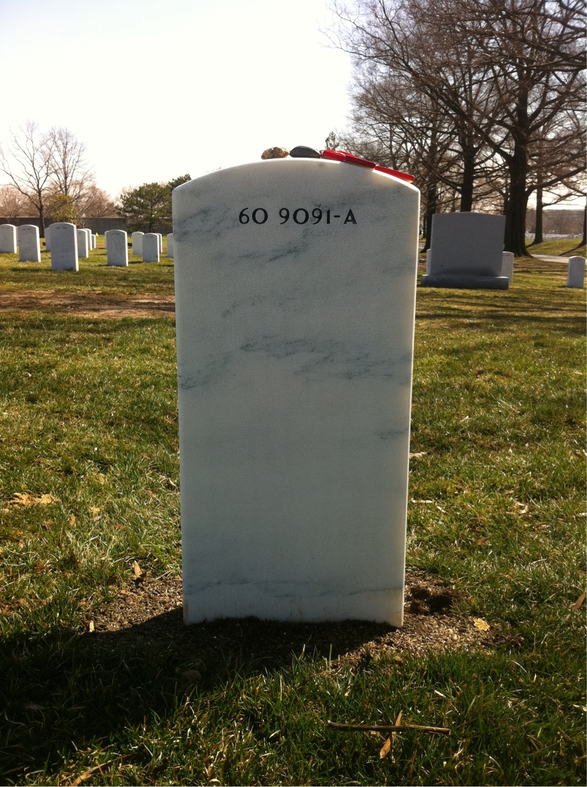 Headstone of Walter David Gray