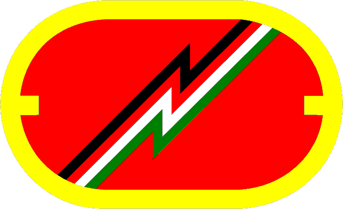 1ST FIELD ARTILLERY DETACHMENT — Background trimming