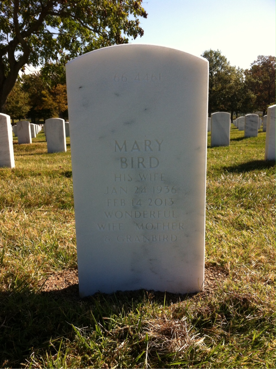 Headstone shared by 2 interments, including Thomas Ritson Ferguson Jr.