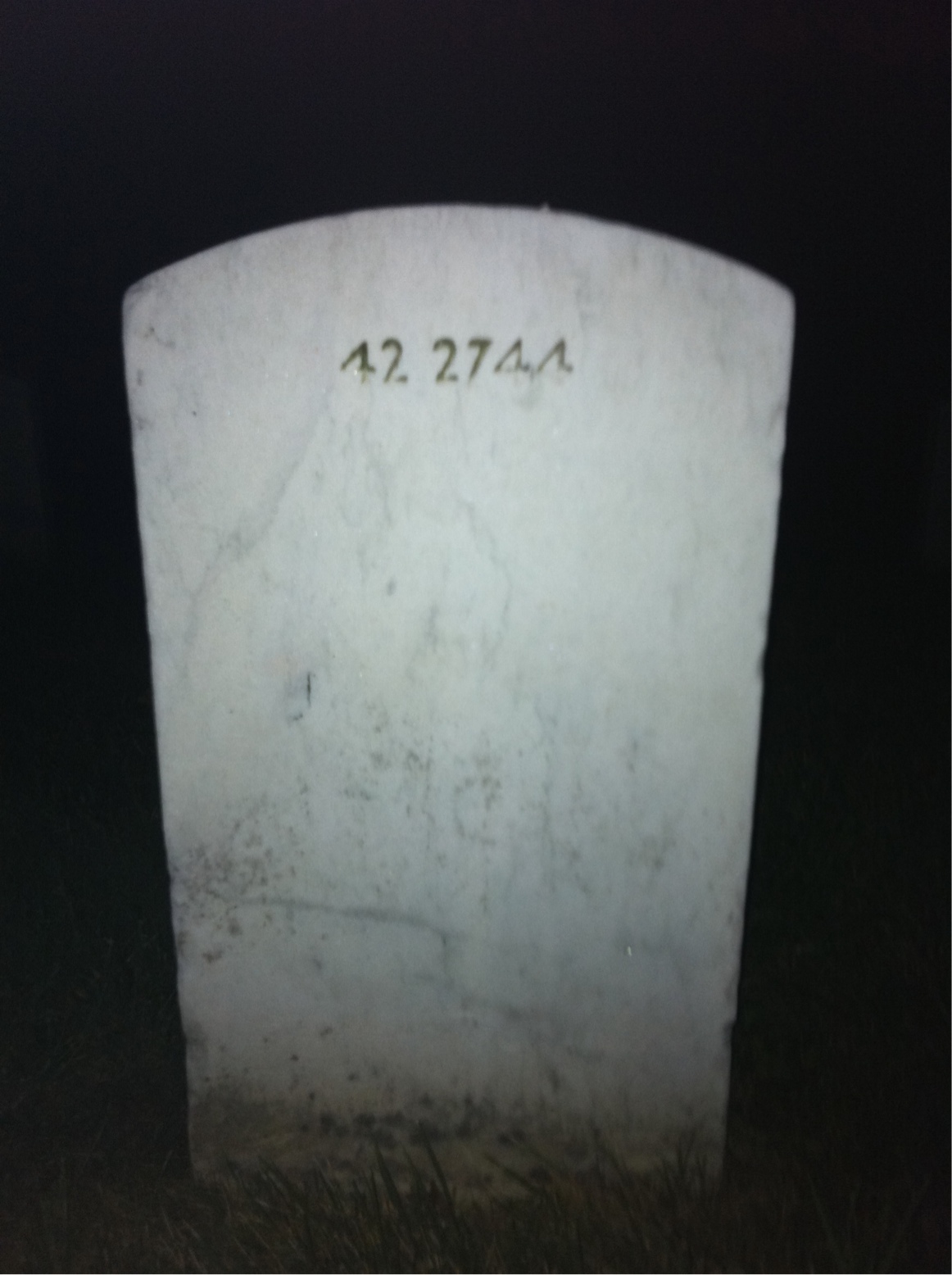 Headstone of Lucious H Alexander