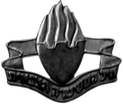 Military Police Corps insignia