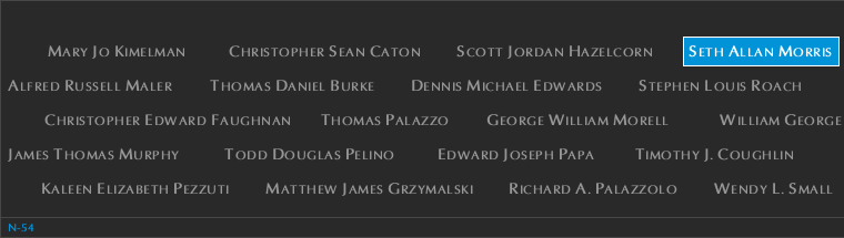 Panel N-54, North Pool, National September 11 Memorial