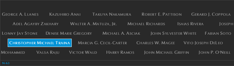 Panel N-63, North Pool, National September 11 Memorial