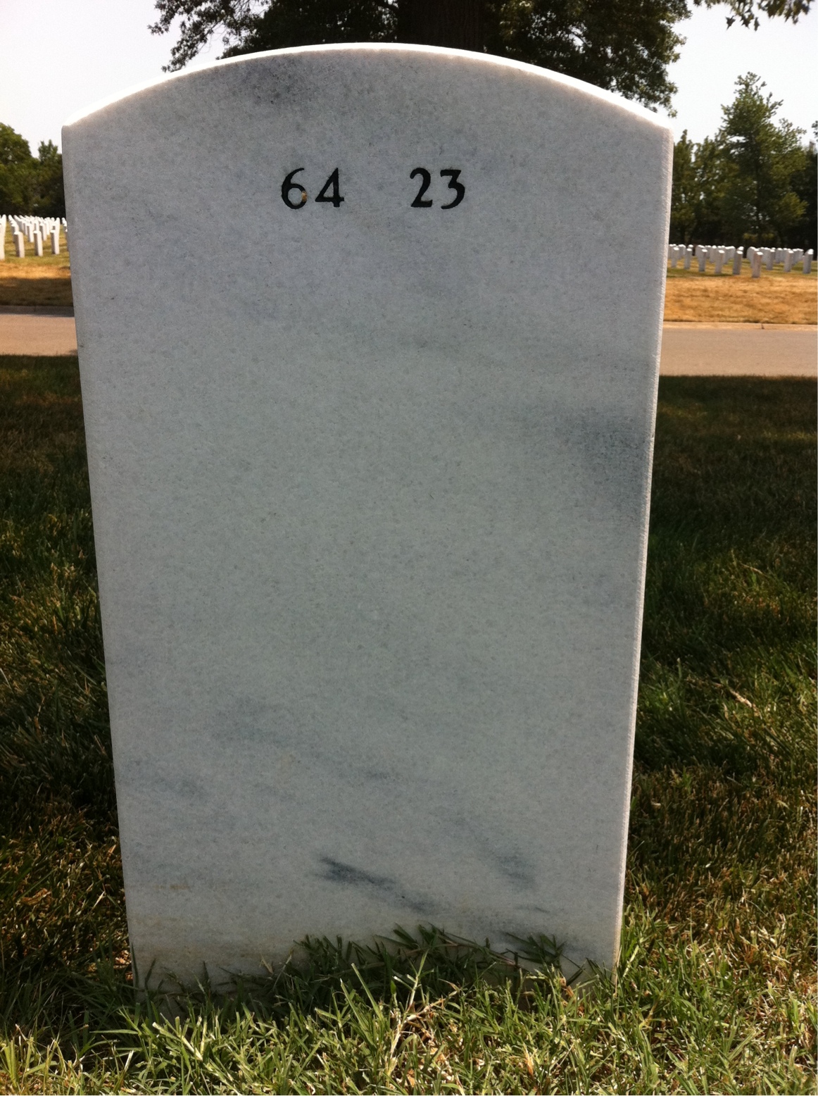 Headstone of Verner Reinhold Carlson