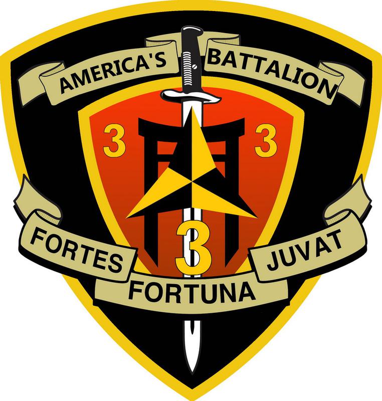 3rd Battalion, 3rd Marines — Shoulder sleeve insignia