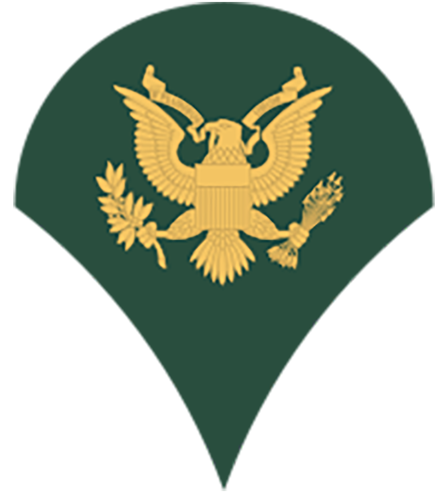 Specialist Specialist