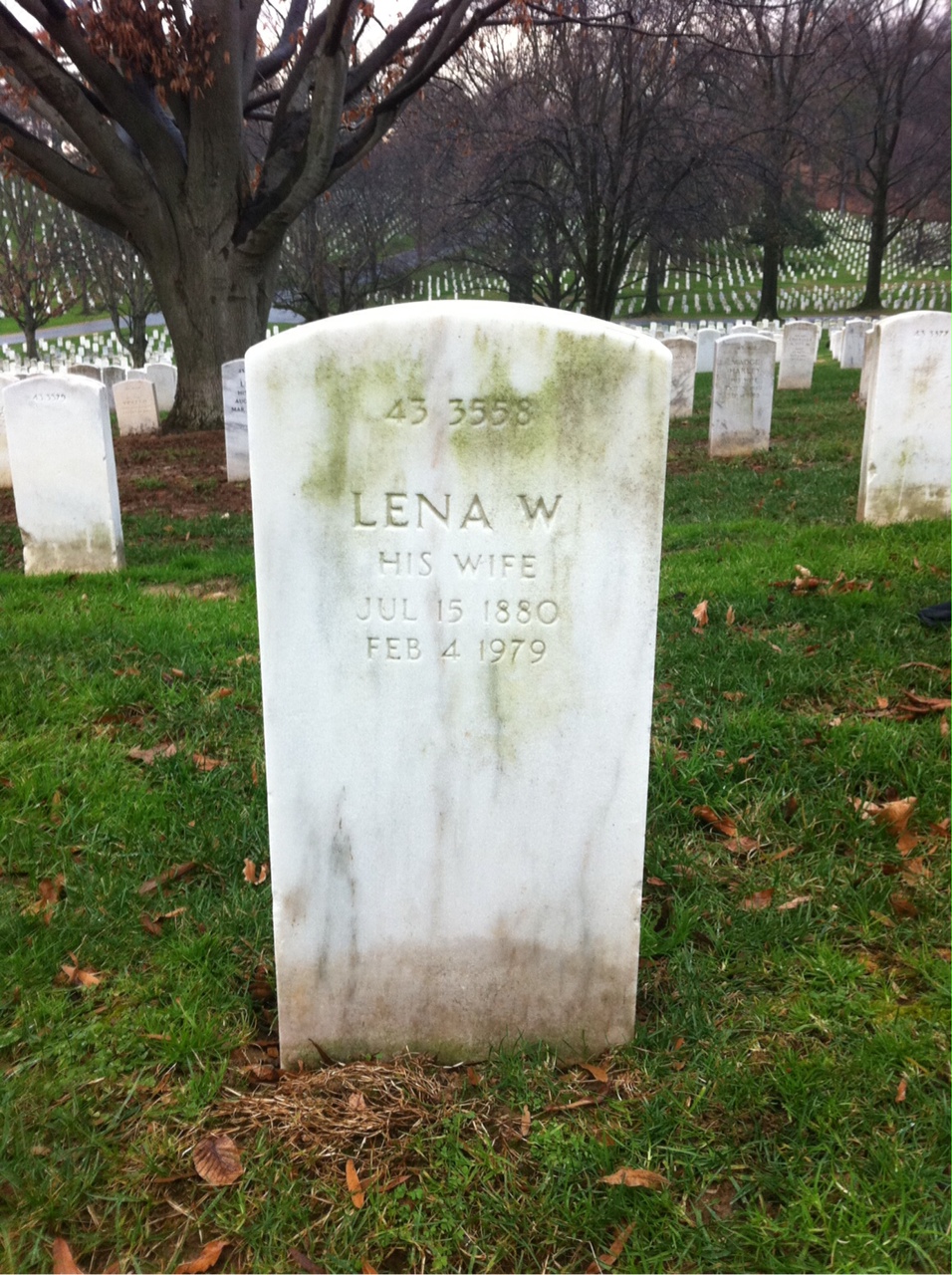 Headstone shared by 2 interments, including Lena W Guyer