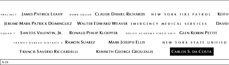 Panel S-25, South Pool, National September 11 Memorial