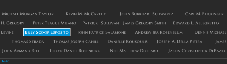 Panel N-40, North Pool, National September 11 Memorial