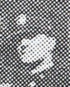 Headstone of Thomas E. Dameron