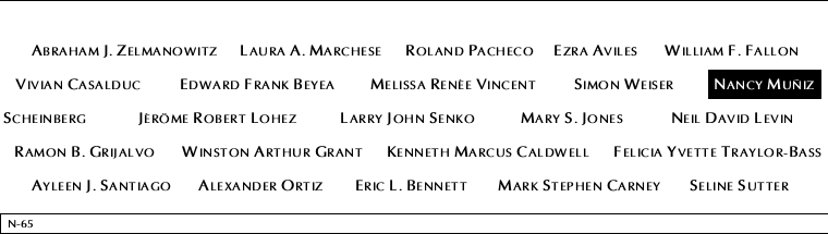 Panel N-65, North Pool, National September 11 Memorial