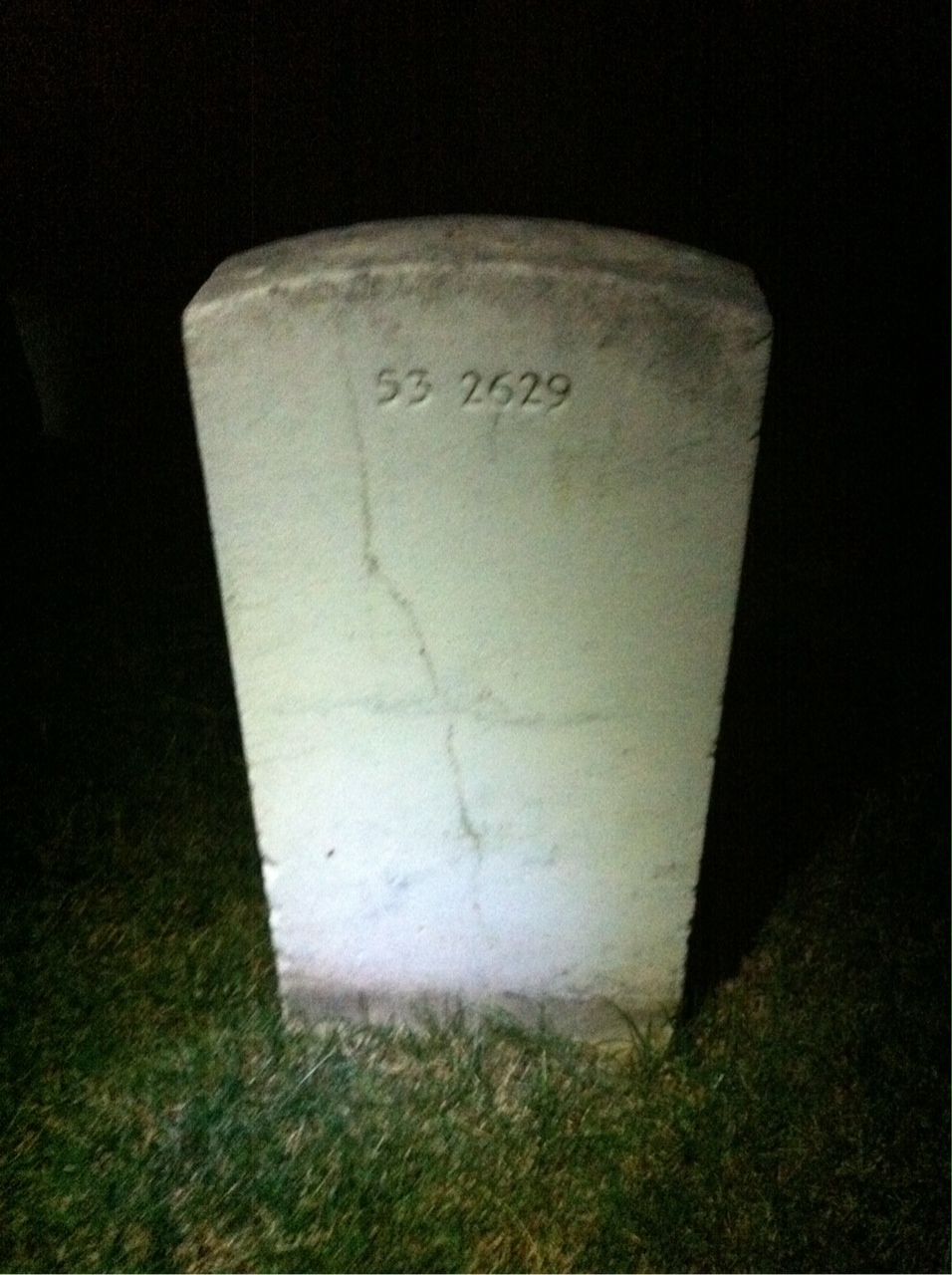 Headstone of Timothy F Jenkins