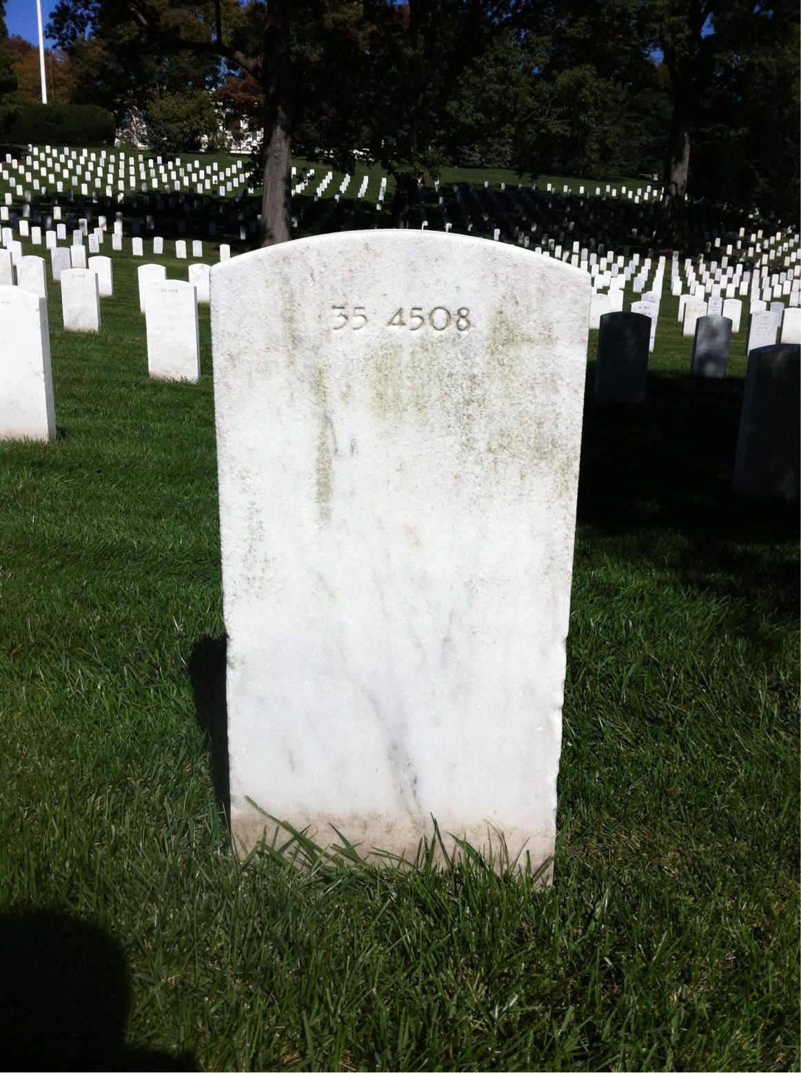 Headstone of Nelson B David