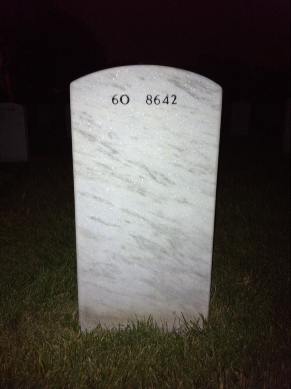 Headstone of Steven Alexander Davis