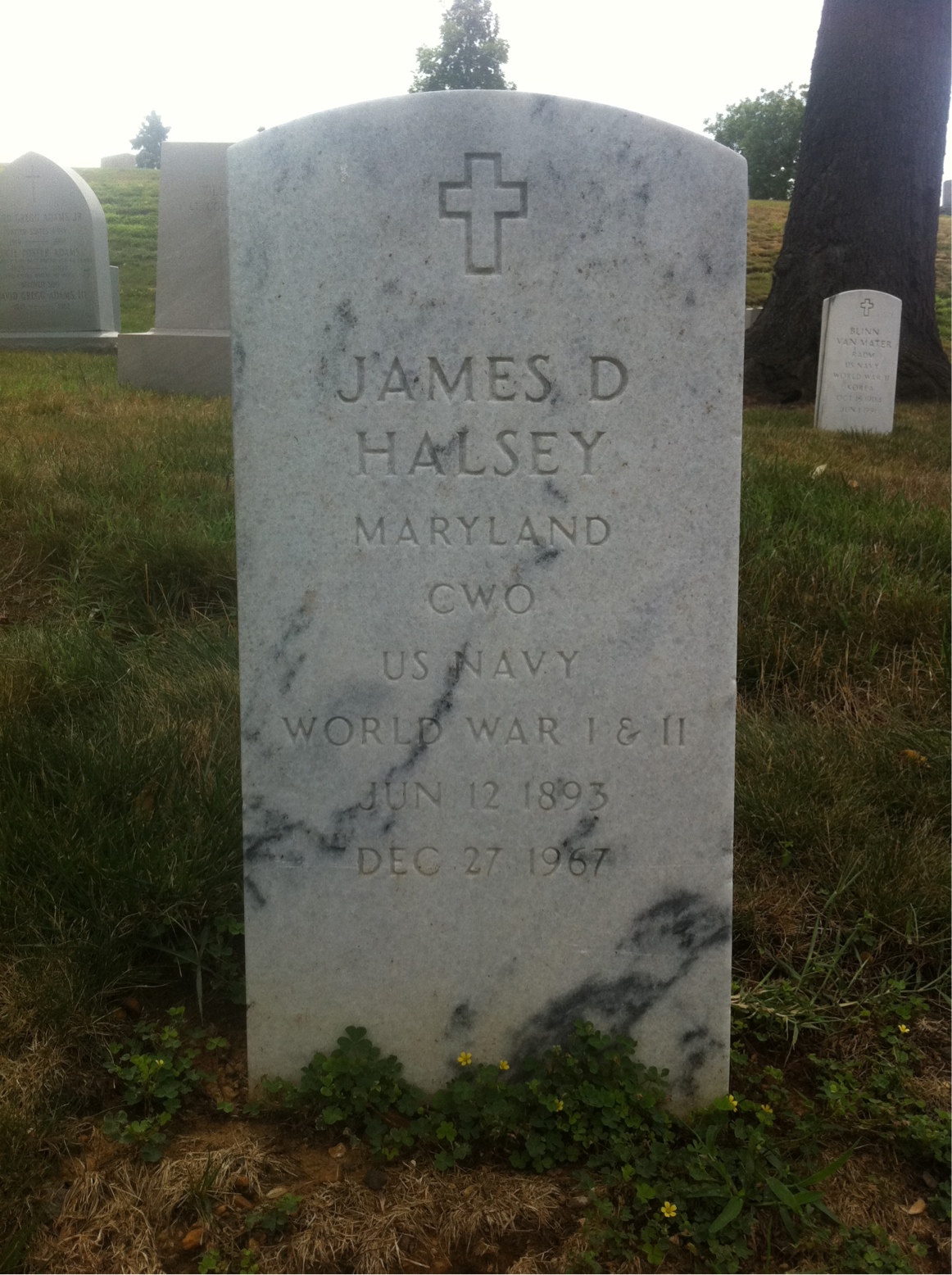 Headstone shared by 2 interments, including Martha T Halsey