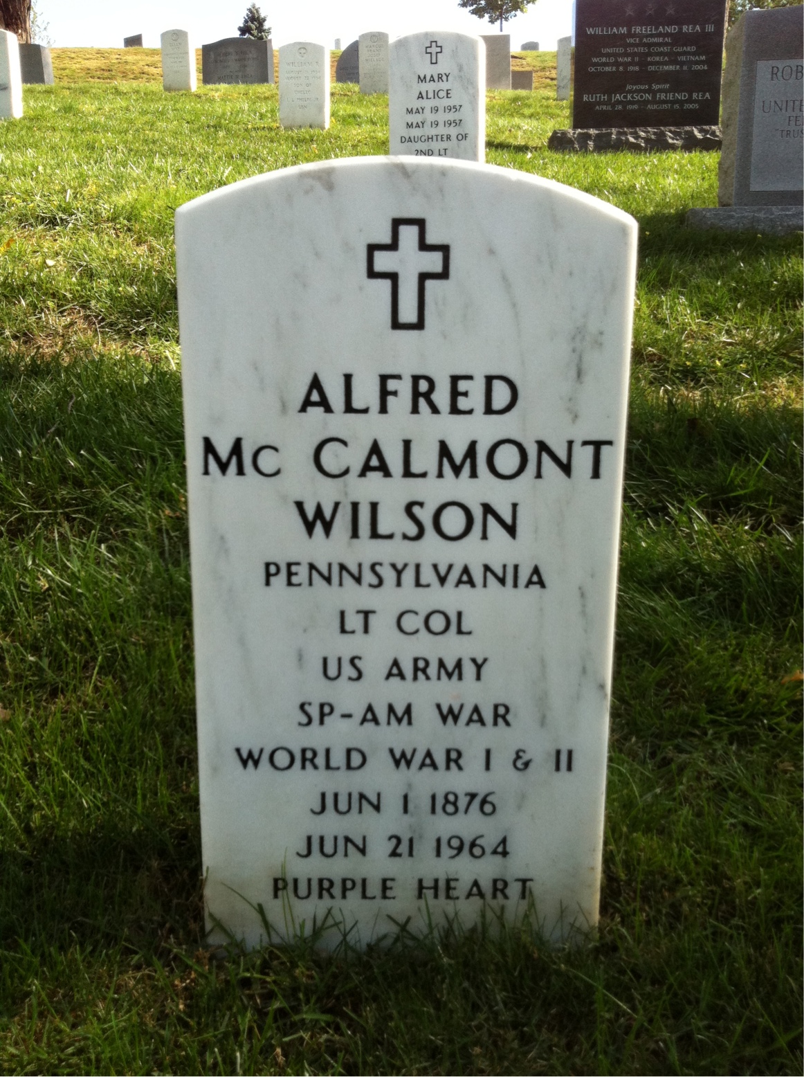 Headstone of Alfred M Wilson