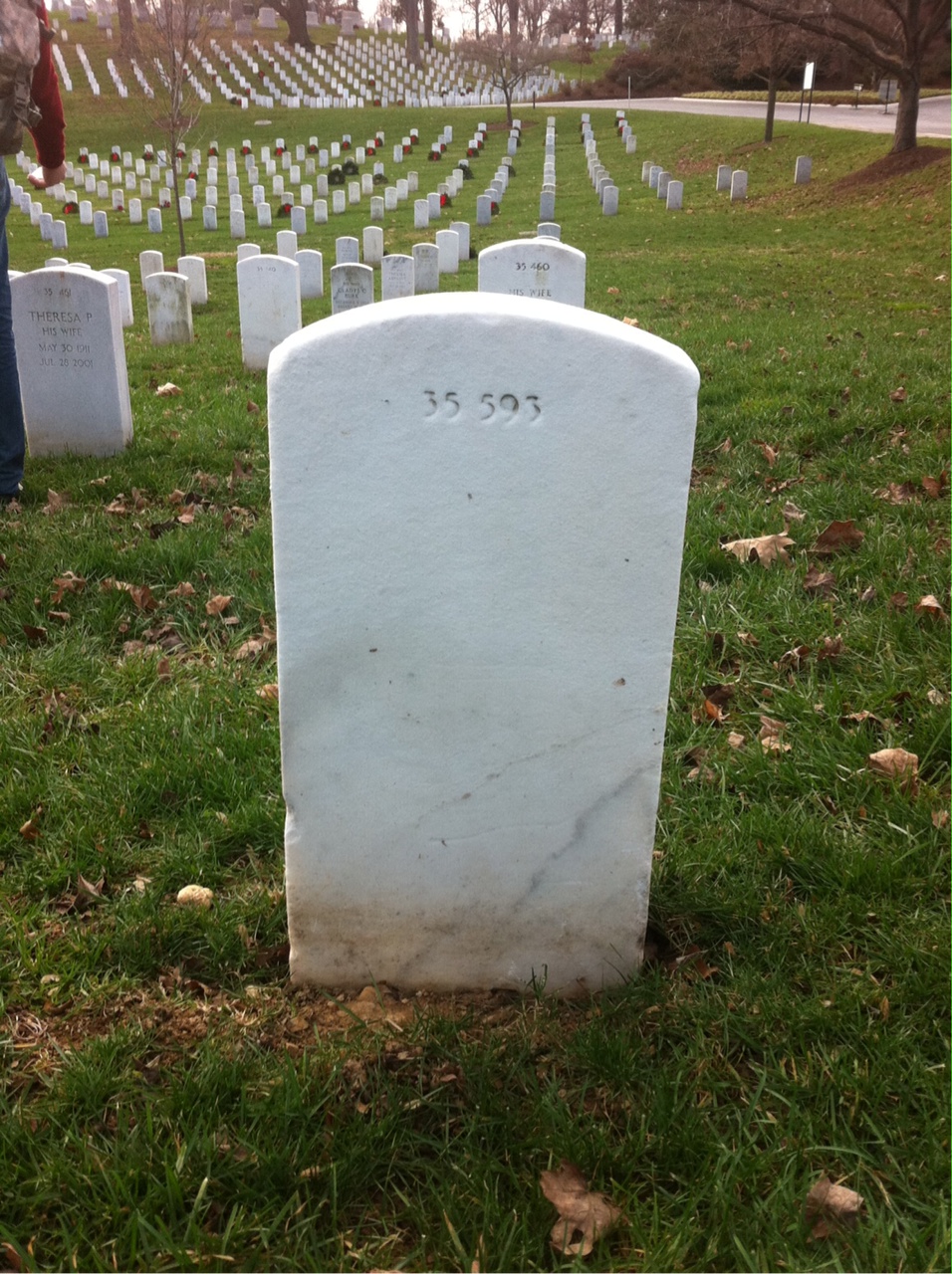 Headstone of Wayne Gilmore Schwartz