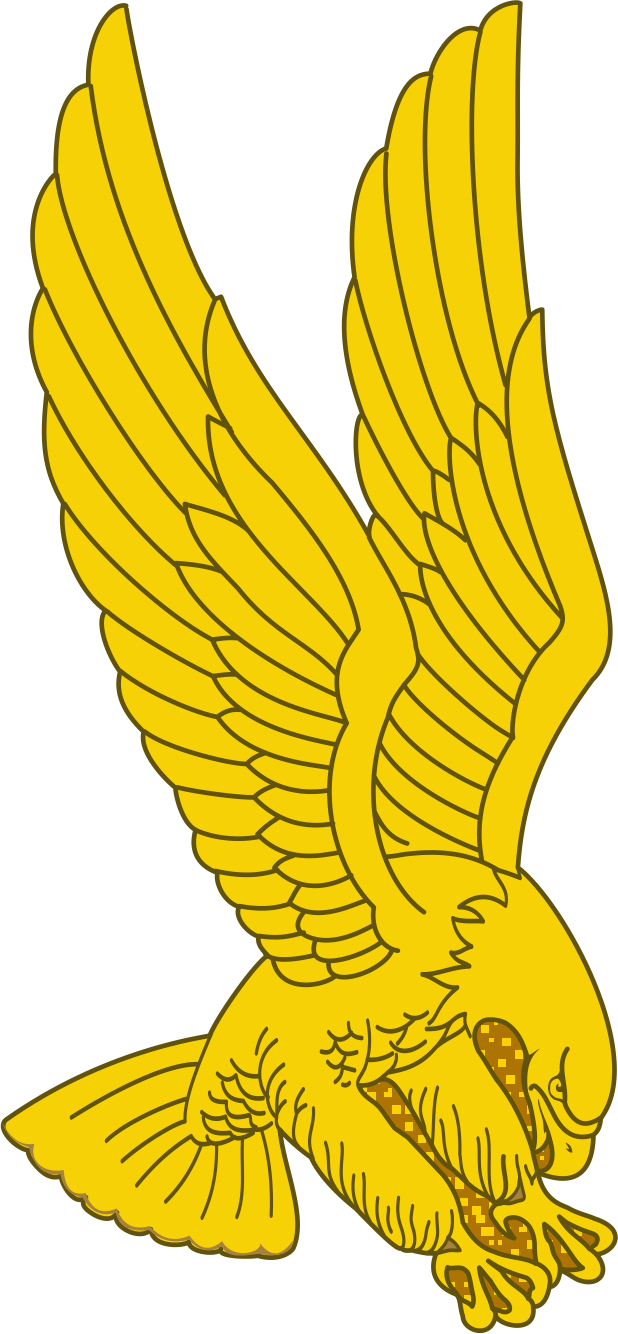 1st Aviation Brigade — Distinctive unit insignia
