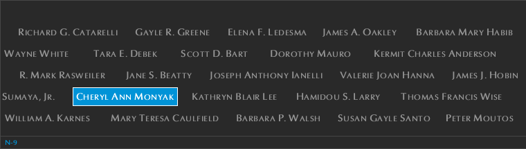 Panel N-9, North Pool, National September 11 Memorial