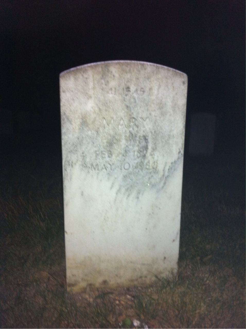 Headstone shared by 2 interments, including Rudolph Biro