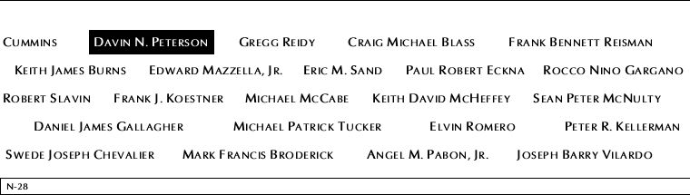 Panel N-28, North Pool, National September 11 Memorial